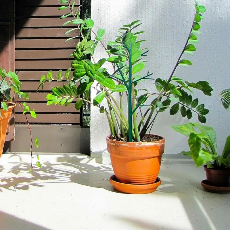 5 KS Vnútorné zariadenia Mreže Vegetácie Podporu izbová rastlina Podporu Záhrada Klietky Pre Indoor Lezenie Kvety A Črepníkové Pobočiek