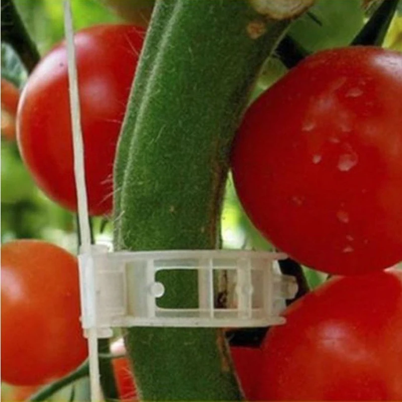 50pcs Plastové Rastlín Podporu Klipy 23 mm Pre paradajky Visí Mreže, Vinič Pripojí Rastliny Skleníkových Zeleniny Záhrada Ornament